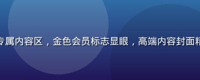 亚洲久久久VIP专属内容区，金色会员标志显眼，高端内容封面精美，尊享体验感强